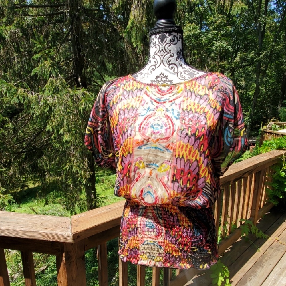 Stunning Sheer Colorful Top!